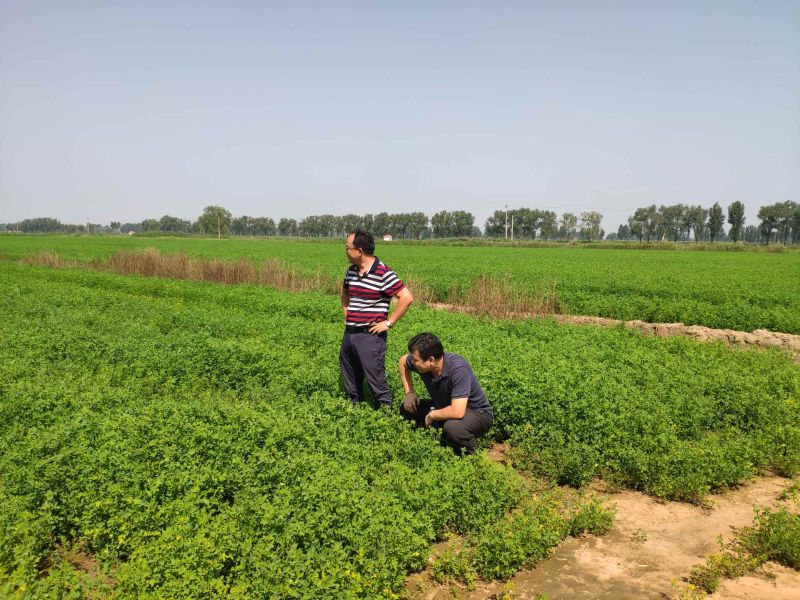 中誠草業主題教育照片1